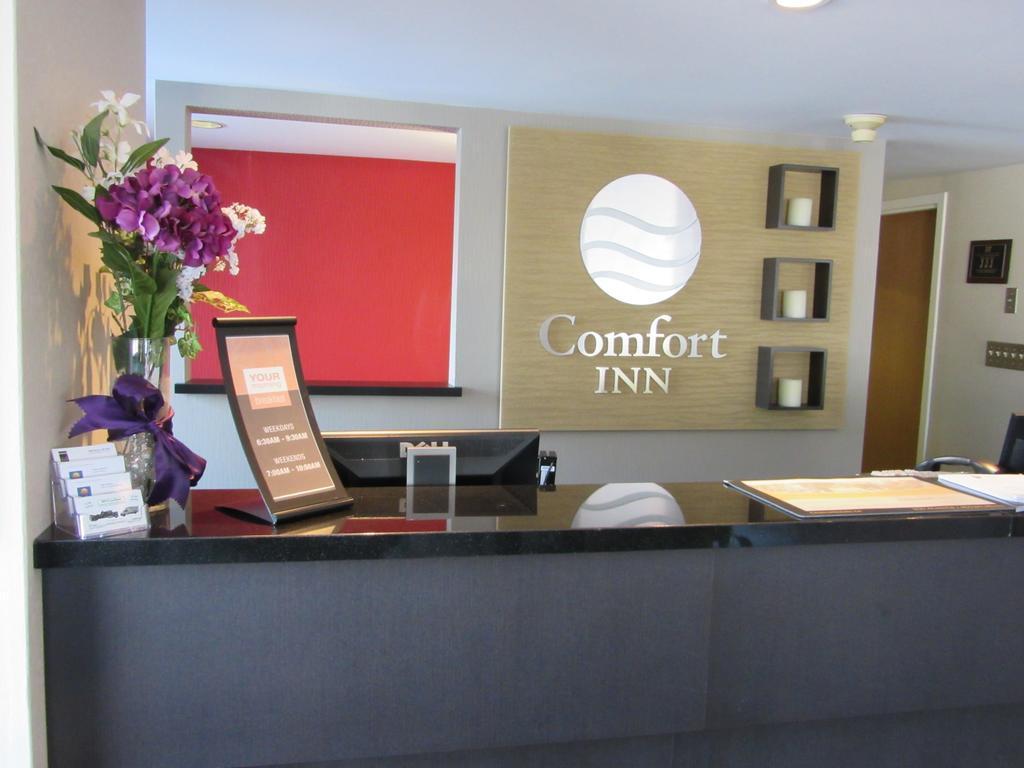 Motel Comfort