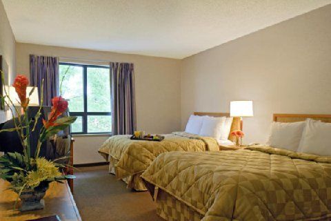 Comfort 3*